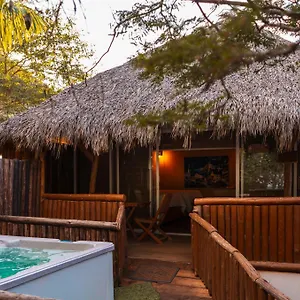 Palm Valley Camping